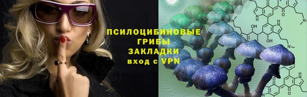 крисы Елизово