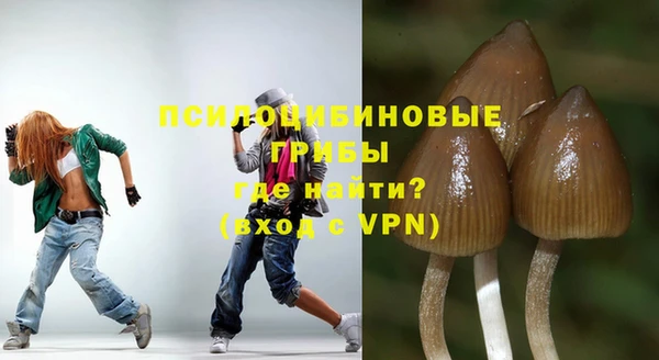 ешки Ельня