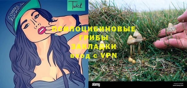 ешки Ельня
