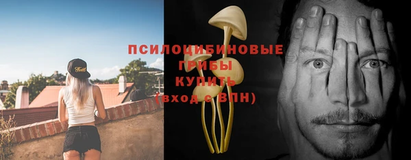 ГАЛЛЮЦИНОГЕННЫЕ ГРИБЫ Козловка
