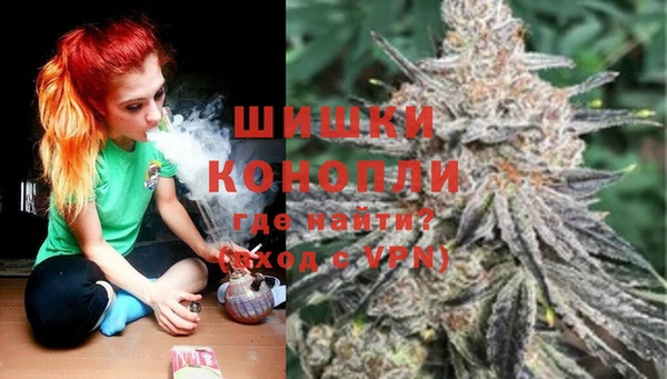 ешки Ельня