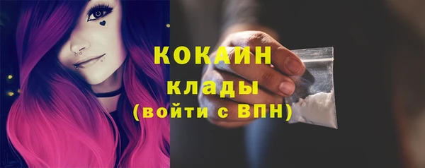 крисы Елизово