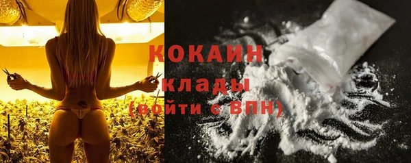 крисы Елизово