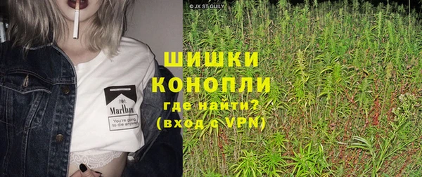 крисы Елизово